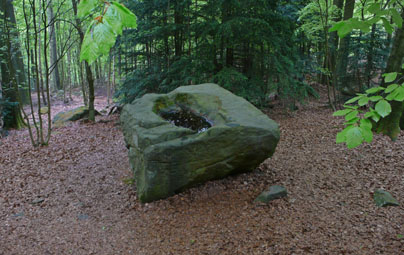 Sage Alte Taufe nach Bock