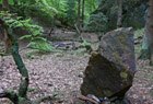 Der Bärenstein