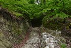 Externsteine Hohlweg