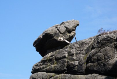 Wackelstein Sage