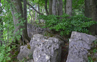 Die Sagen vom Thüster Berg