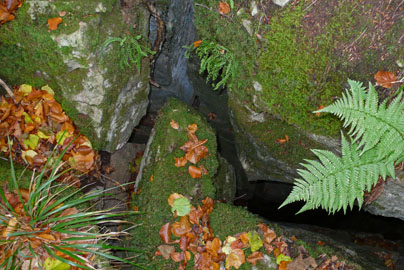 Sage Dreigroschenhöhle